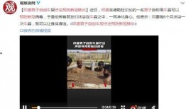 南昌奇葩爆料新闻视频大全,盘点那些令人瞠目结舌的奇葩爆料新闻