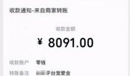 二驴手机爆料视频大全下载,揭秘幕后真相，带你领略网红世界