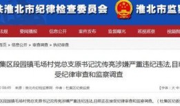 新闻爆料文字,揭秘新闻背后的惊人真相