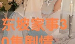 家事在线观看,揭秘家庭生活的温馨瞬间