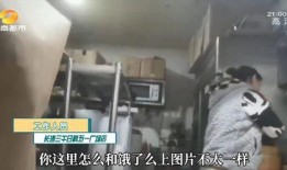 网红爆料事件视频外卖,真相与争议的交织