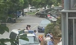 小区事件爆料视频,真相背后引人深思