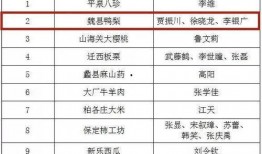 魏县最新爆料消息,揭秘当地热点事件背后的真相