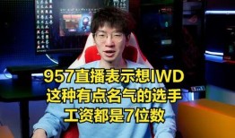 王子直播爆料事件视频,揭秘娱乐圈不为人知的幕后真相