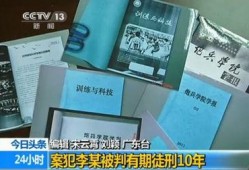 间谍公司爆料案件最新,神秘间谍活动惊现国际风云