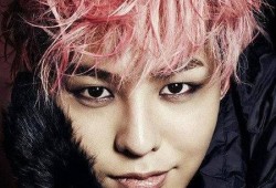 圈内爆料权志龙,揭秘娱乐圈背后的风云人物