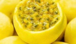 顾客爆料百香果视频下载,百香果视频下载背后的秘密大揭秘！