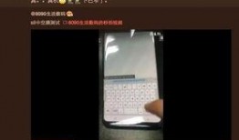 台妹爆料s9被告视频,台妹爆料背后的真相揭晓