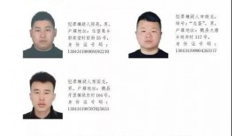 魏县最新爆料消息,揭秘当地热点事件背后的真相