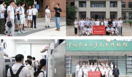 浙江学校新瓜最新爆料,揭秘校园风云背后的真相