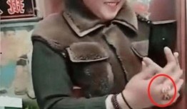 大衣哥爆料儿媳最新视频,甜蜜互动引网友热议