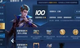 王者网友爆料视频下载大全