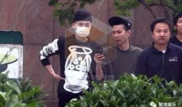 欧豪最新的爆料电视剧,热血青春燃情演绎，揭秘校园风云传奇