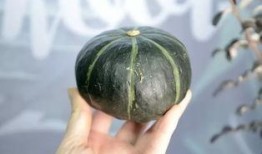 抖音网红八卦吃瓜图片,揭秘吃瓜图片背后的真相