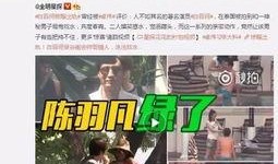 被前任爆料视频报警怎么办,如何应对网络隐私泄露危机