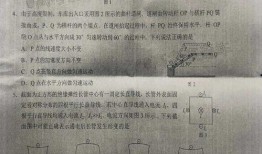 光遇最新爆料是真的吗还是假的,揭秘真相，是真实爆料还是虚假传闻？