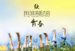 致我们终将逝去的青春在线观看,青春回忆录在线观看