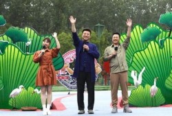 大佛最新爆料新闻视频下载,揭秘视频背后的惊人真相