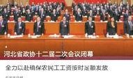 头条爆料石家庄新闻,头条爆料揭示最新动态