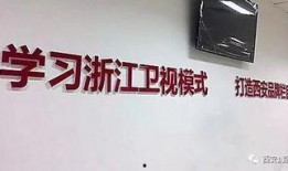西安电视台 爆料视频,揭秘背后惊人真相